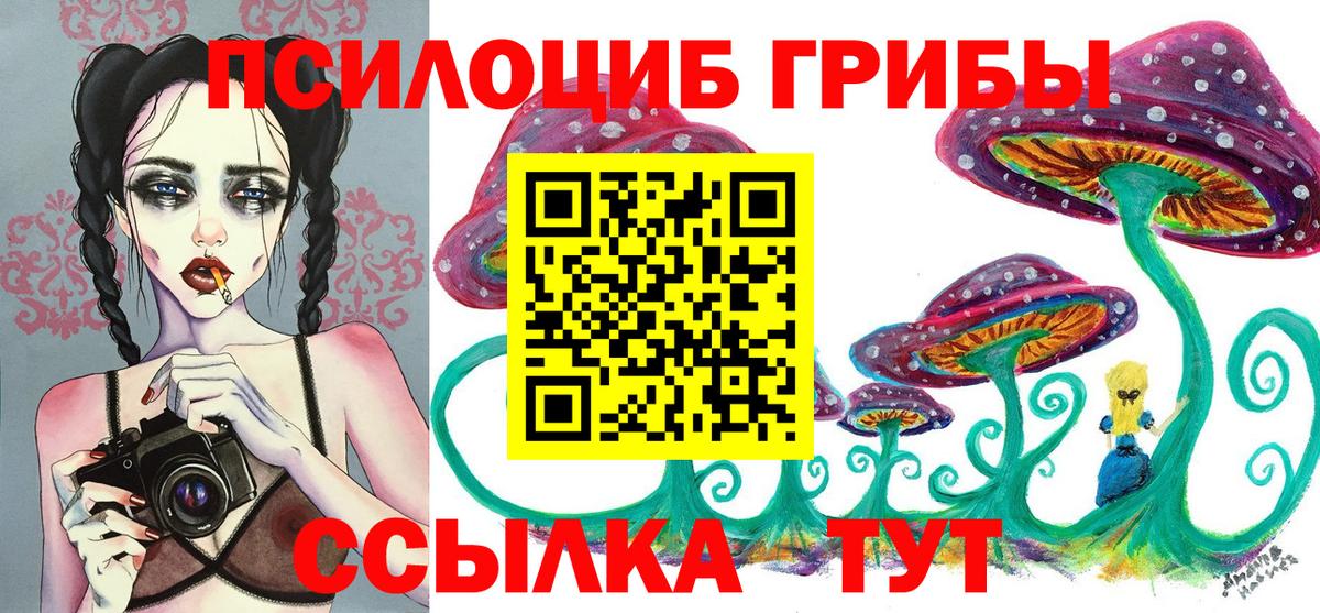 Псилоцибиновые грибы прущие грибы Петрозаводск