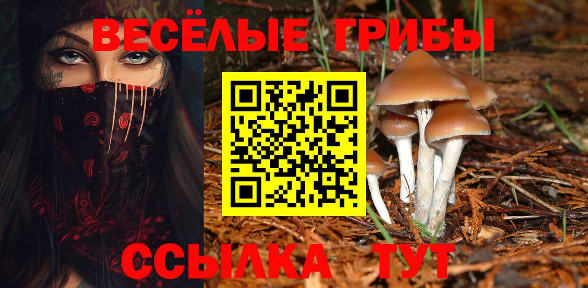 Петрозаводск  Галлюциногенные грибы MAGIC MUSHROOMS  Вход с VPN 